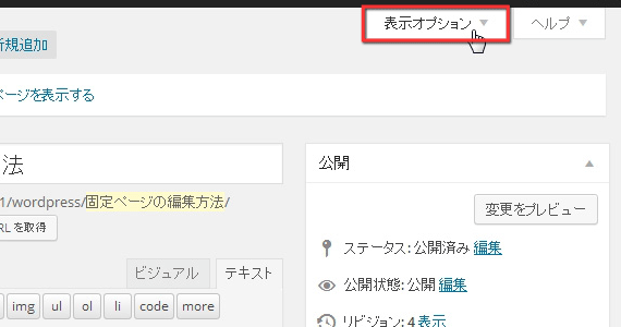 表示オプション