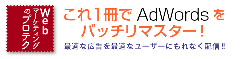 Webマーケティングのプロテク